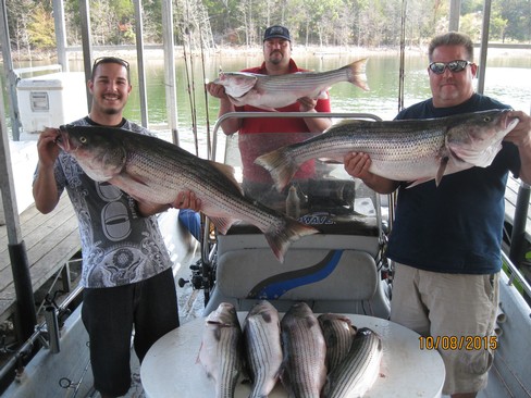 Nice Striped Bass